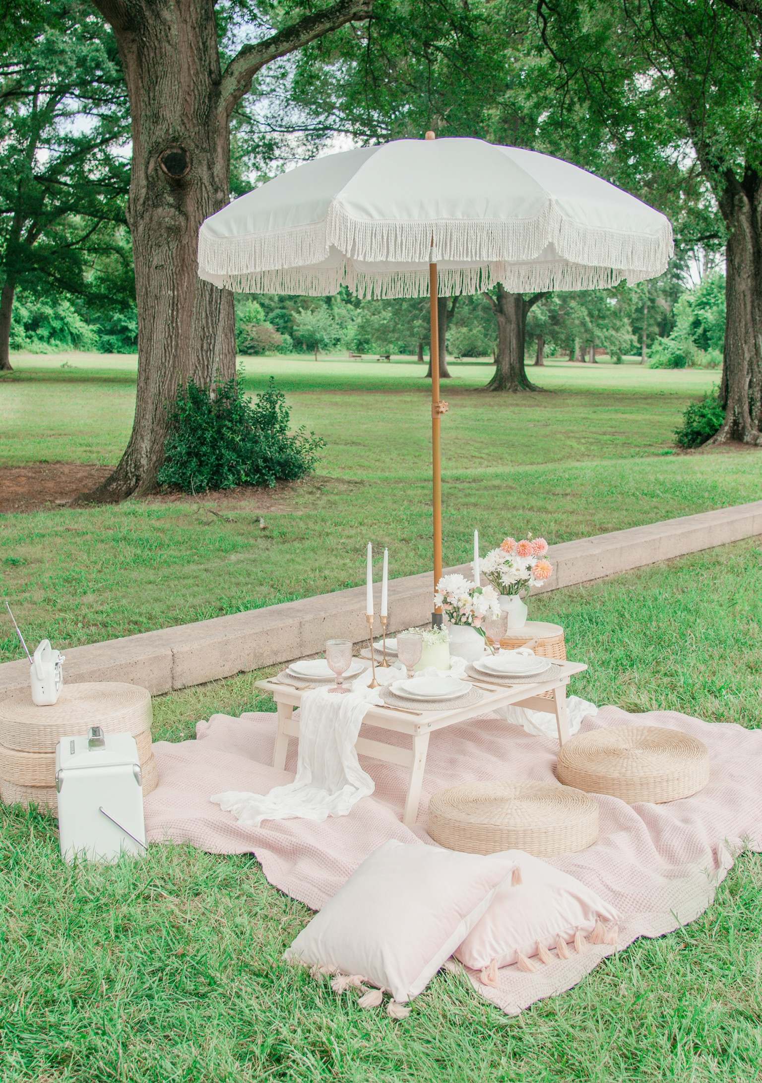 A low table on a pink blanket under a white fringed umbrella in a park